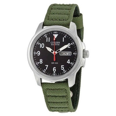 Citizen Strap Eco-Drive 180 Day-Date Men’s Wristwatch BM8180-03E
