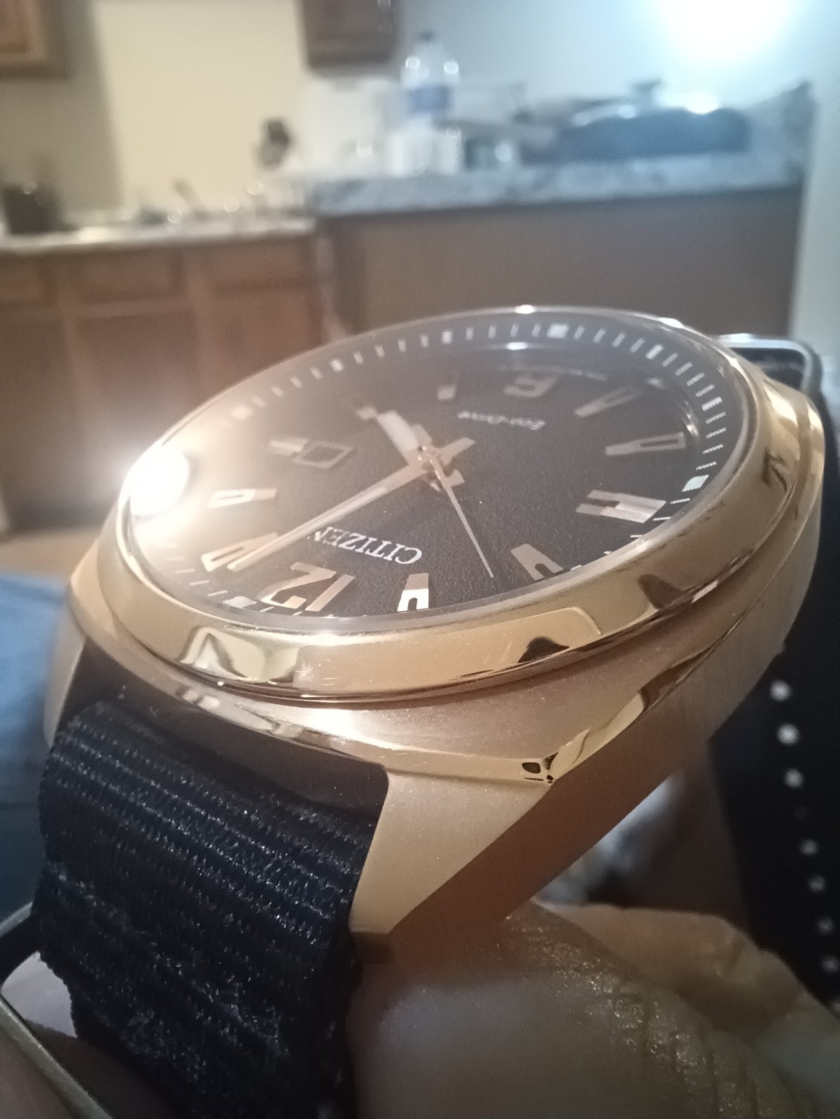 Citizen Endicott used