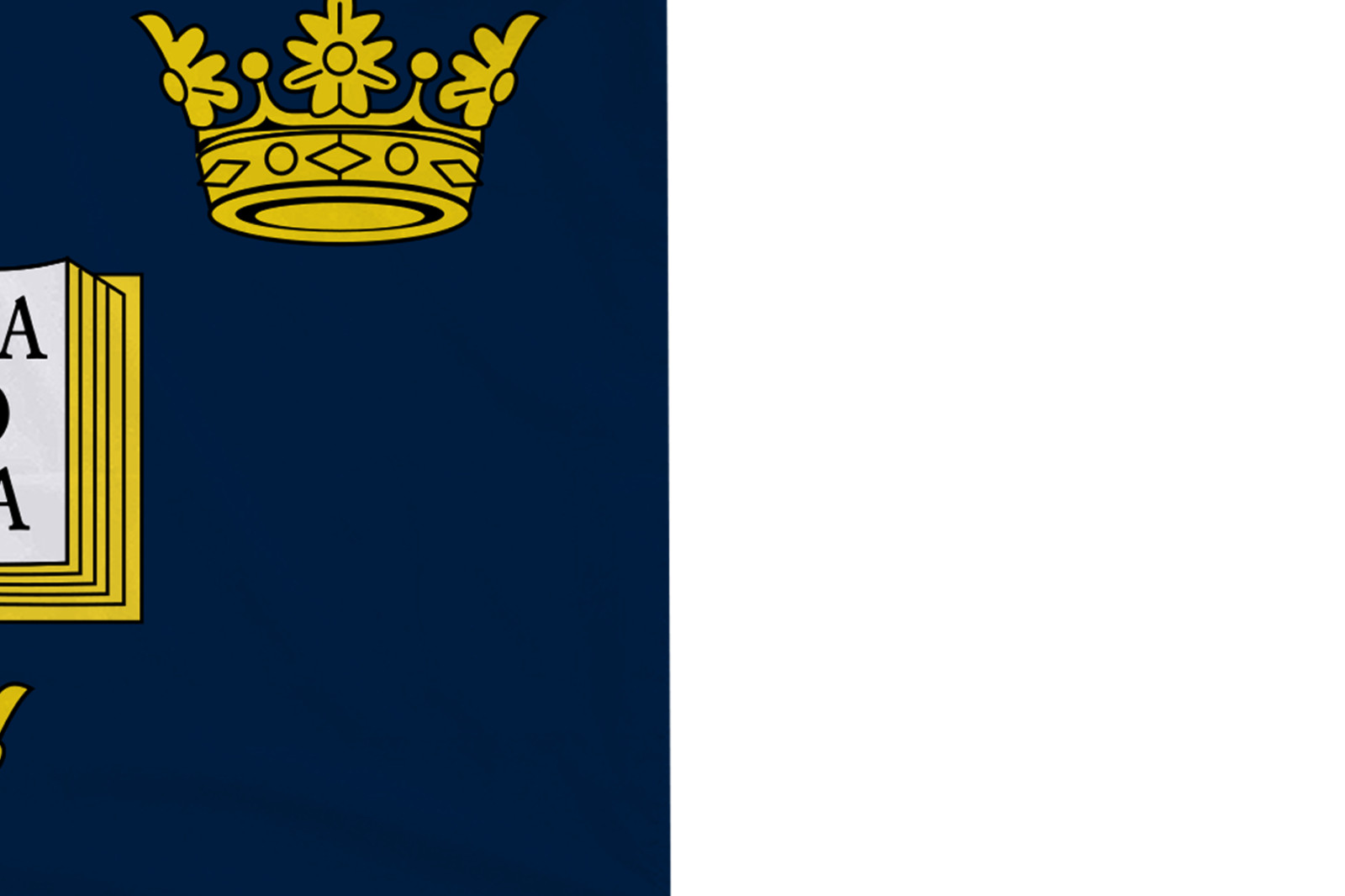 Oxford University Polyester 5’x3′ Flag