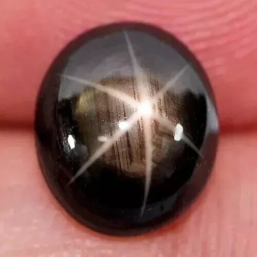 Black Star Sapphire 6 Rays 9.00 Ct+ Oval Cabochon Natural Loose Gemstone