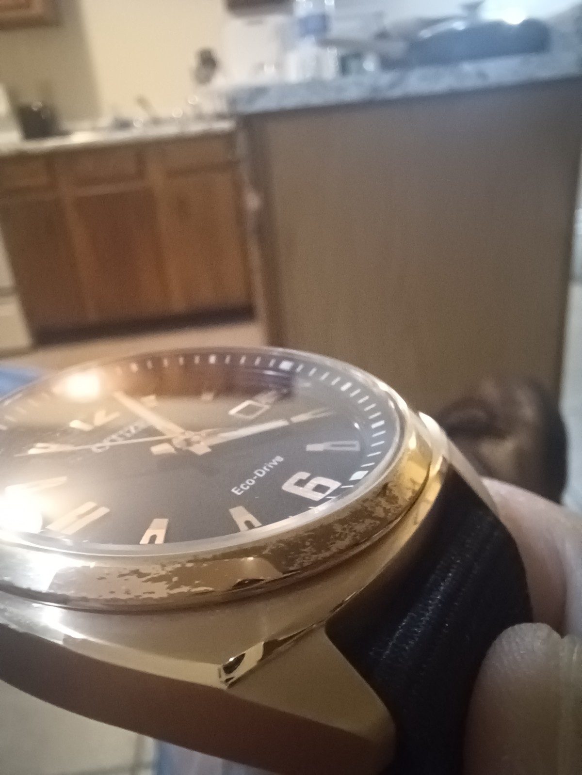 Citizen Endicott used