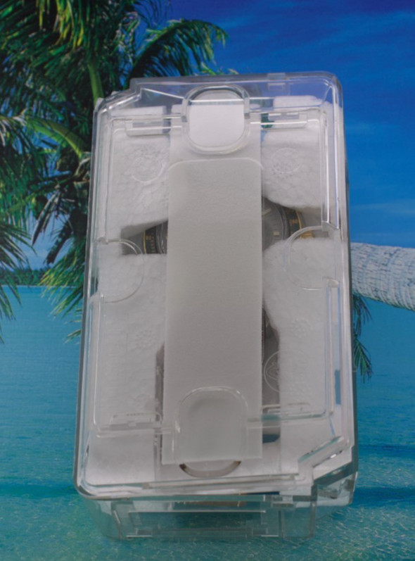 New Plastic Watch Coffin Case For Travel Or Storage
