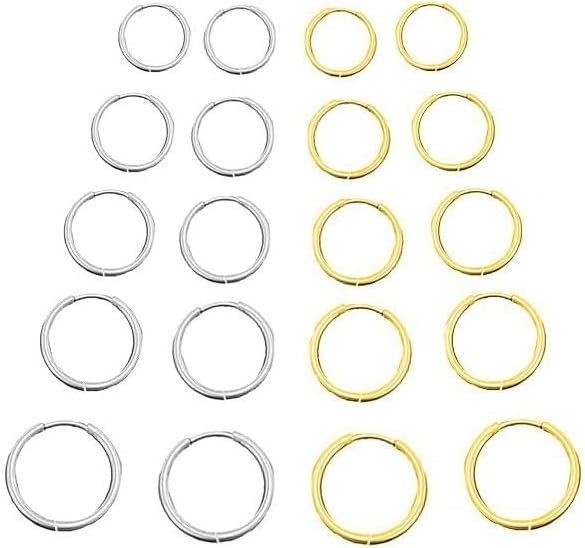 10Pairs Titanium Earrings Stainless Steel Hoop Earrings Set, 8mm to 16mm Small H