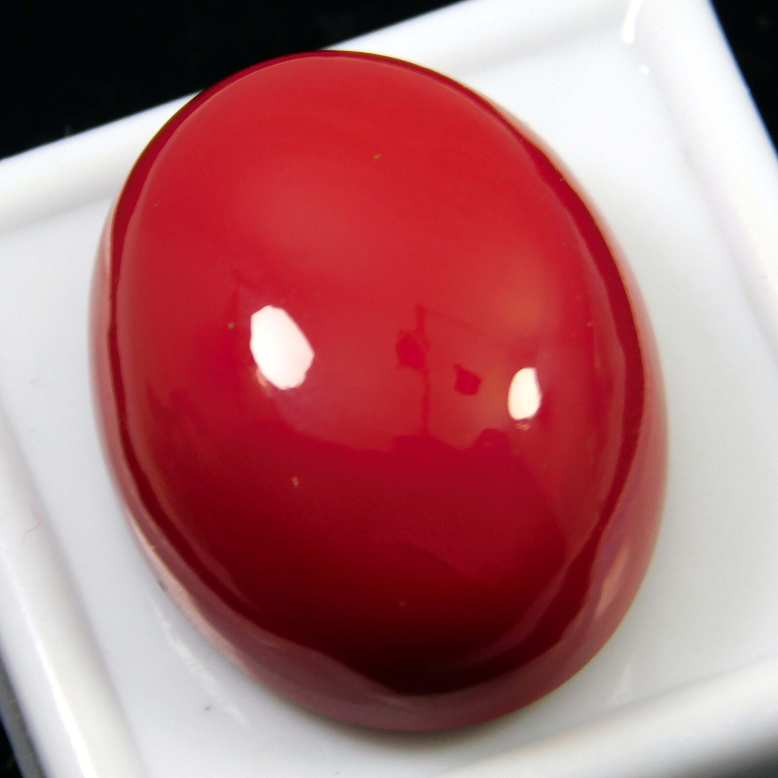 34.45 Ct Natural Italian Red Coral Oval Cabochon Cut Loose Gemstone